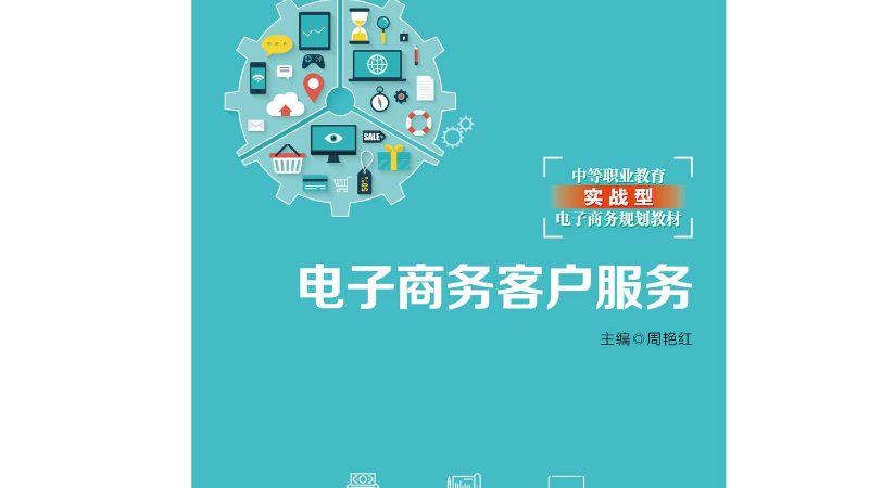 电商孵化运营团队：揭秘十大品牌背后的核心竞争力