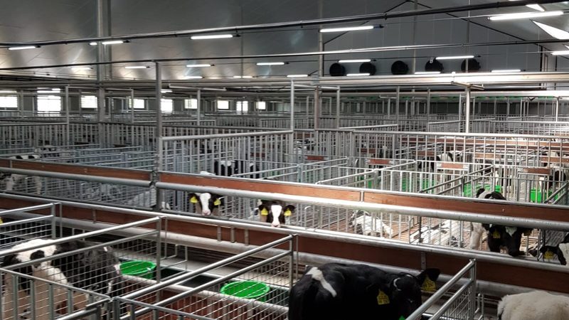 电商代运营成功案例分享效果评估