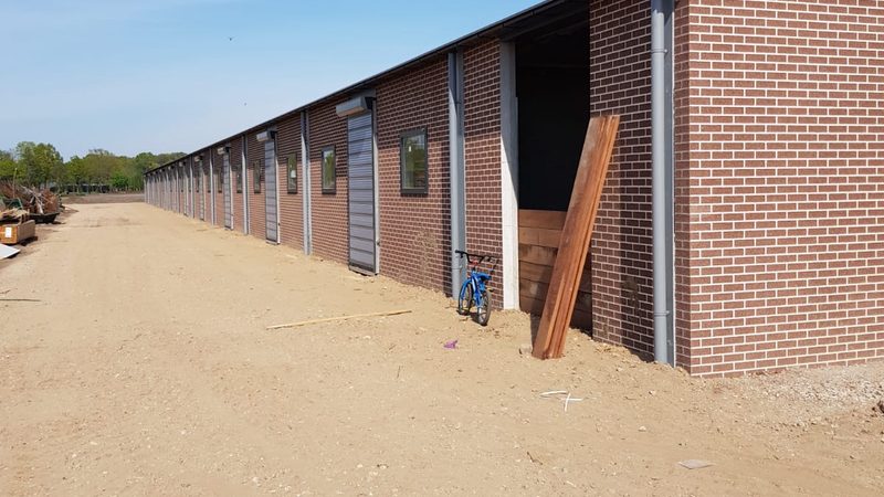 独立站搭建：揭秘技术公司排名背后的逻辑